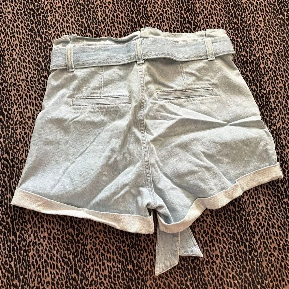 Express Women's Blue Shorts
